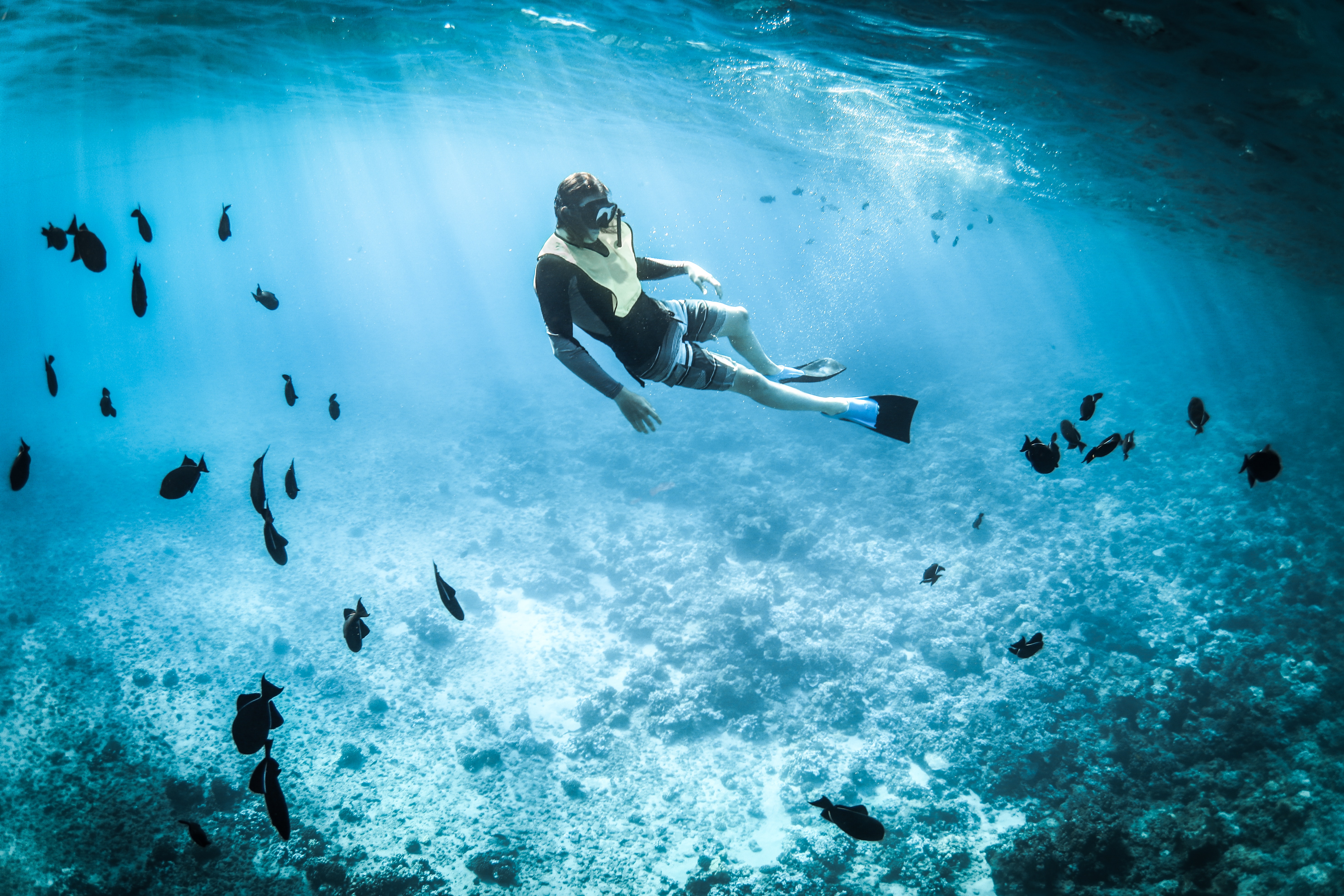 Snorkelling under water with fish